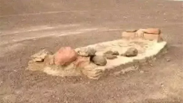 لمحة نيوز