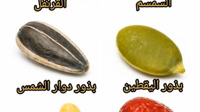 أطعمة صغيرة في حجمها… كبيرة بفوائدها