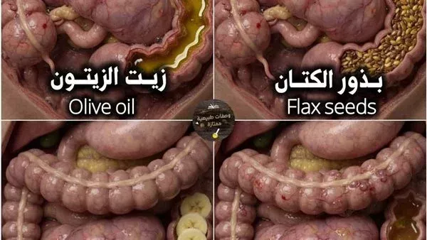 لمحة نيوز