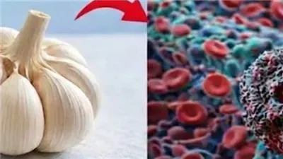 متي يصبح الثوم
