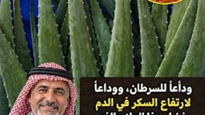  الألوفيرا مع العسل: العلاج الطبيعي الذي يعد بفوائد كبيرة (لكن يجب فهمه جيدًا قبل استخدامه)