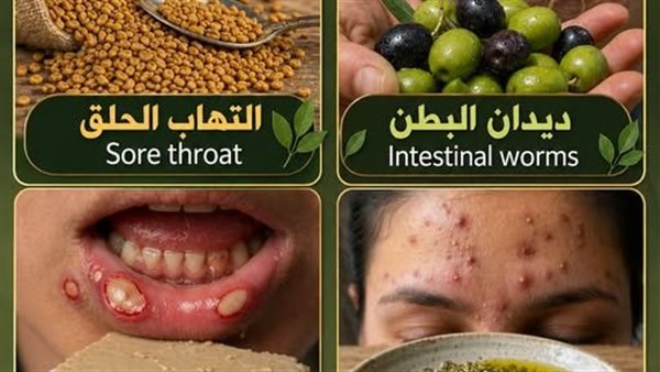 لمحة نيوز