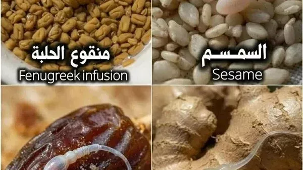 لمحة نيوز
