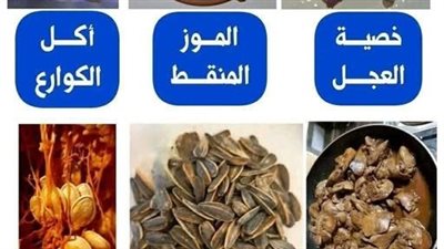 العجل : تحسين الصحة