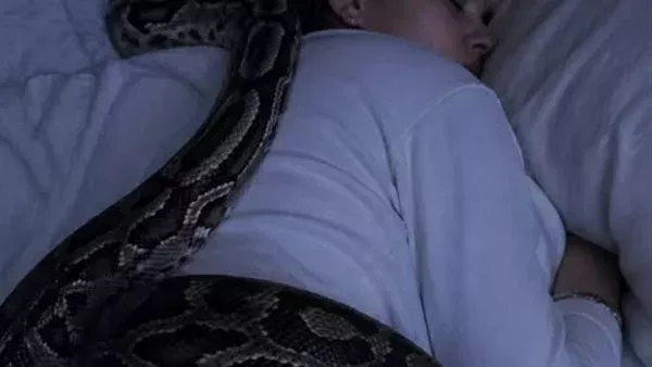 لمحة نيوز