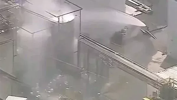 لمحة نيوز