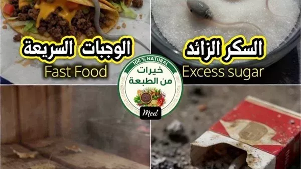 لمحة نيوز
