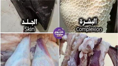 نضارة البشرة