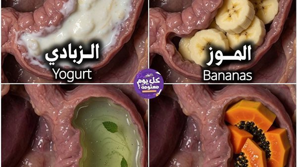 لمحة نيوز