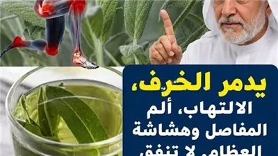 الميرمية بين الفوائد العلمية الحقيقية والمبالغات الإعلانية: قراءة واعية في الطب البديل