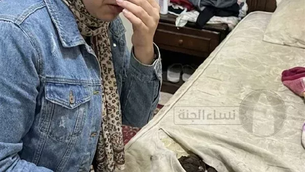 لمحة نيوز