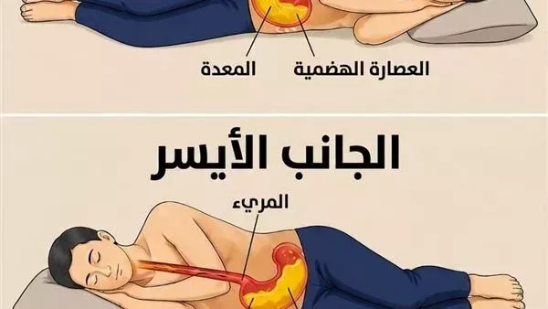 لمحة نيوز