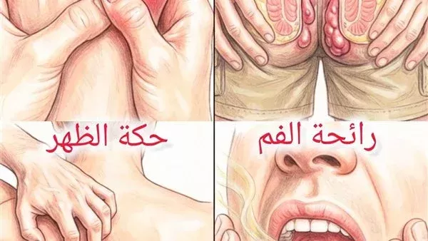 لمحة نيوز