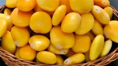 فوائد  الترمس  للنساء 