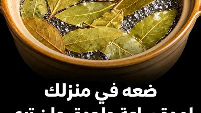 ورق الغار للحشرات وصفة تجعل الحشرات تهرب من البيت