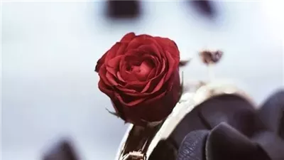 أخذتني ابنتي إلى دار للمسنين